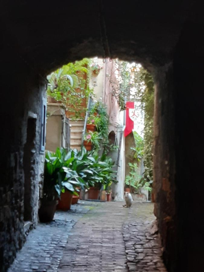 Historical Domus Apartment Anagni Exterior photo